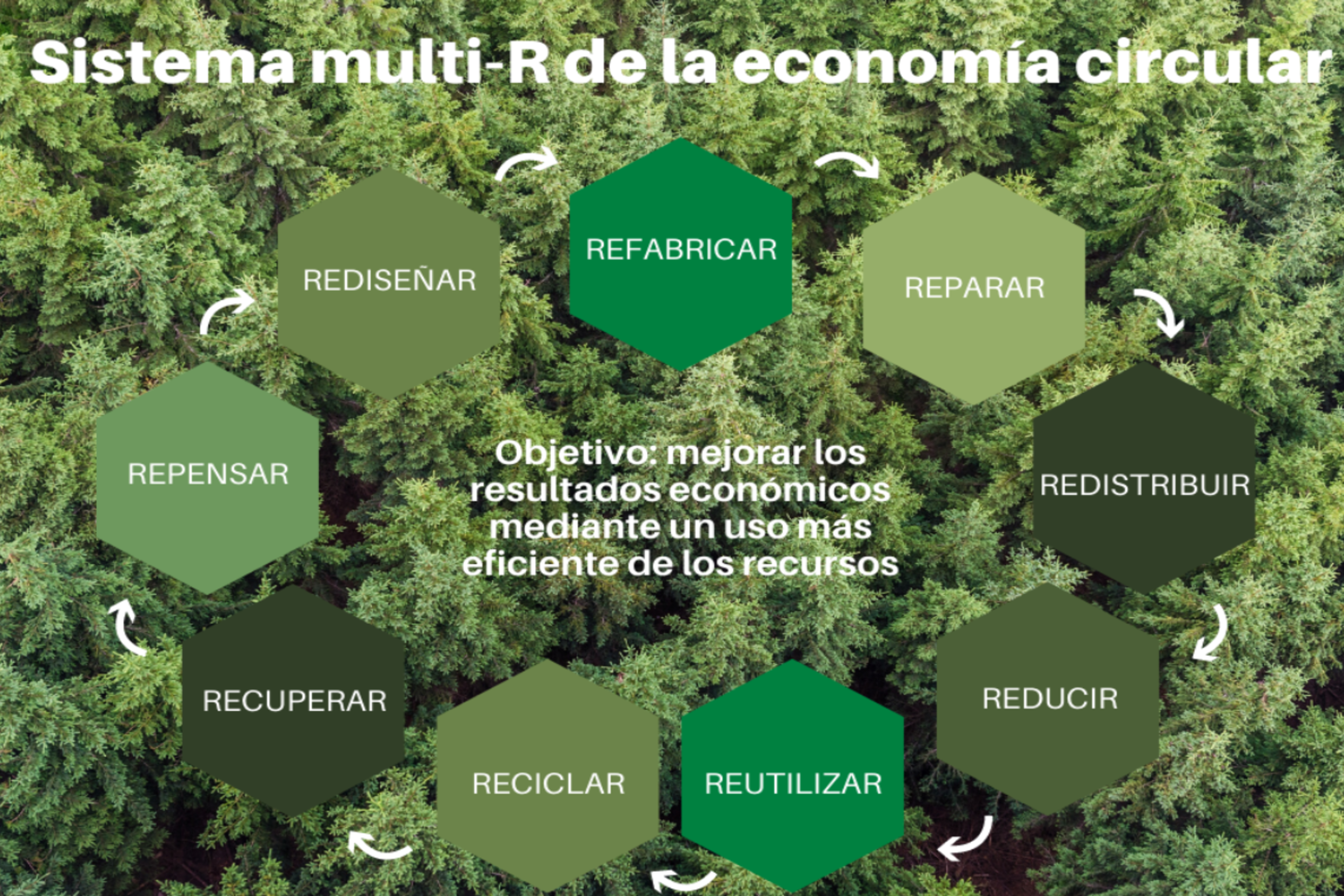 El modelo de las 6R aborda los desafíos ambientales de una forma integral